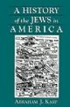 100373 A History of the Jews in America